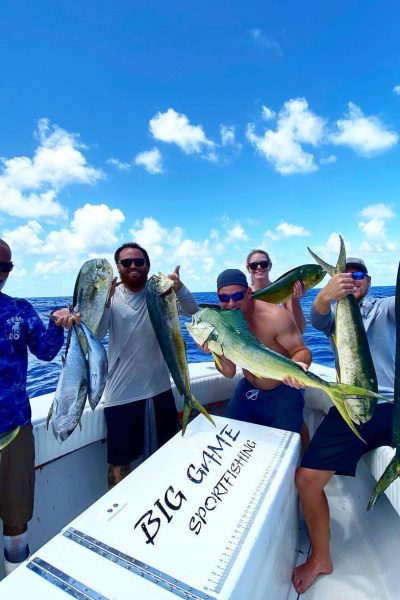 Mahi Mahi Fishing Charter 
